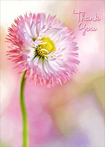 Thank You Greeting Card - Pink Flower Mum