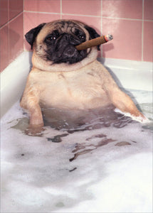 Father's Day Greeting Card - Pug Takes Bubble Bath
