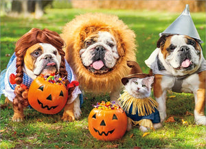 Halloween Greeting Card - Bulldogs in Wizard of Oz Costumes