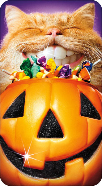 Halloween Greeting Card - Cat with Pumpkin Teeth