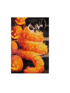 Halloween Greeting Card - White Glam Witch Cat in Orange Boa