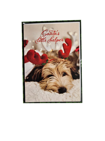 Santa's Little Helper - Premium Boxed Holiday Cards - 18ct.
