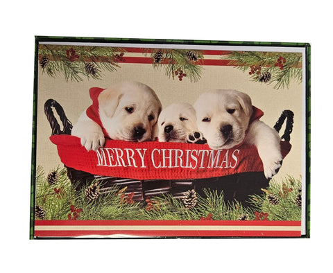 Yellow Labrador Puppies - Premium Boxed Holiday Cards - 18ct.