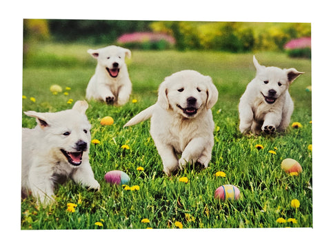 Easter Greeting Card - Puppies and Easter Eggs