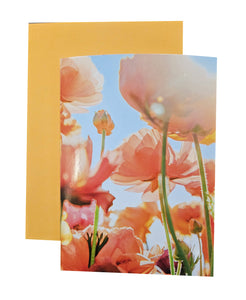 Thinking Of You Greeting Card - Flowers in the Sun