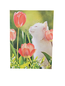 Blank Inside Greeting Card - Cat Admiring Flowers