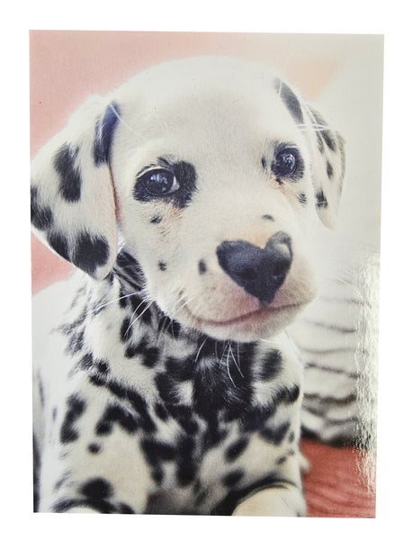 Valentine's Day Greeting Card  - Dalmation