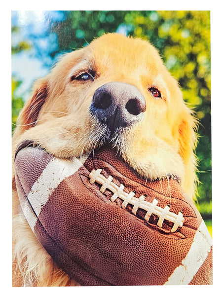 Father's Day Greeting Card - Dog Playing Football