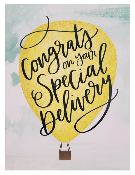 New Baby Greeting Card - Special Delivery