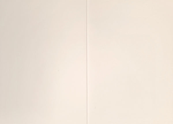 Baby Shower Greeting Card - Unsolicited Advice