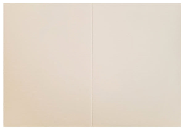 Blank Inside Greeting Card - Mailbox