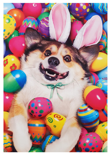 Easter Greeting Card - Dog Laying on Easter Eggs