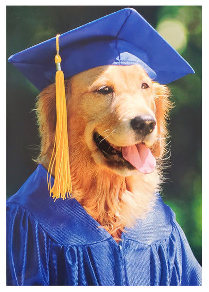 Graduation Greeting Card - Golden Retriever Grad Dog