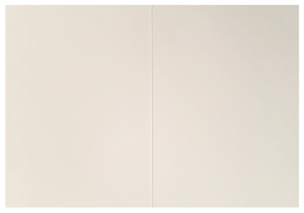 Graduation Greeting Card - Safety Net