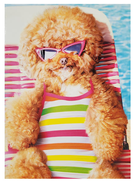 Birthday Greeting Card - Cool Dog Sunbathing