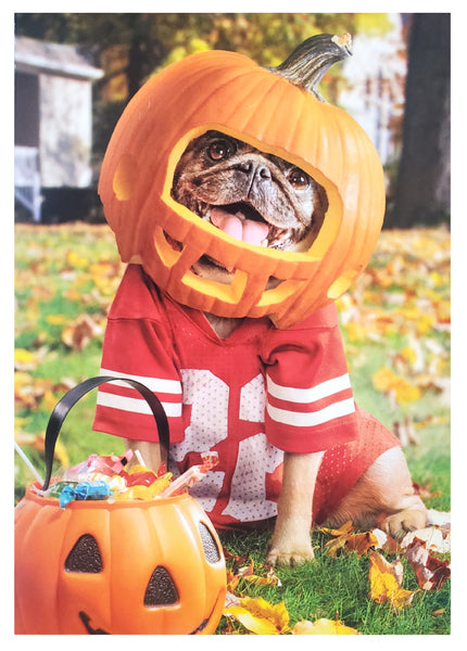 Halloween Greeting Card - Dog with Pumpkin Football Helmet