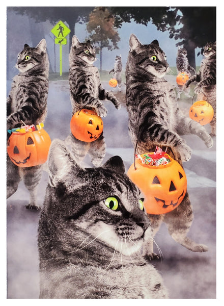 Halloween Greeting Card - Zombie Cats