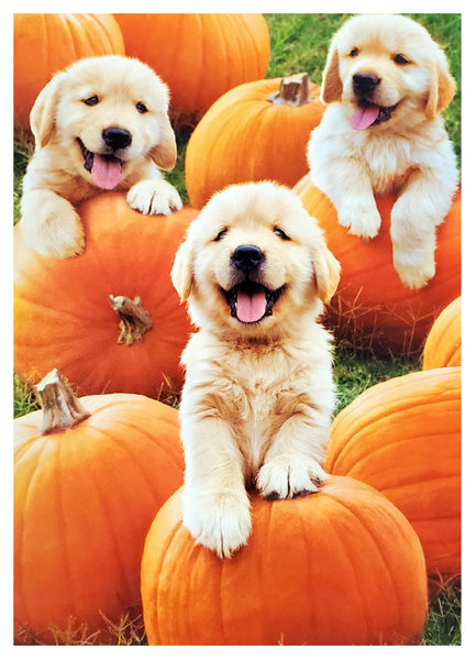 Halloween Greeting Card - Golden Puppies Pumpkin Patch