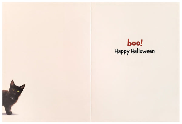 Halloween Greeting Card - Kitten on Jack-O-Lantern