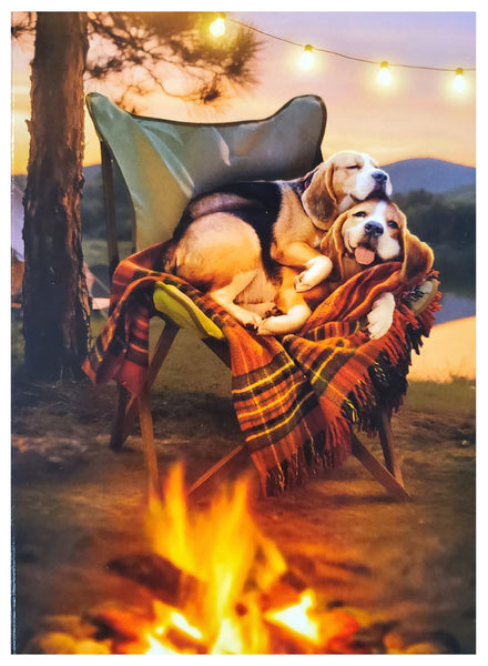Anniversary Greeting Card - Dogs at Campfire