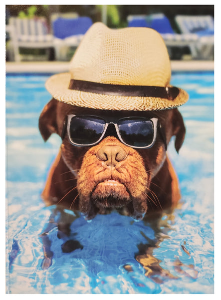 Retirement Greeting Card - Dog in Pool Wearing Sunglasses