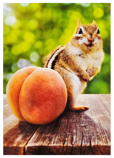 Get Well Greeting Card - Peachy Chipmunk