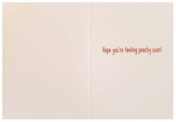 Get Well Greeting Card - Peachy Chipmunk