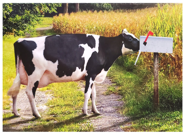 Friendship Greeting Card - Mailbox Cow