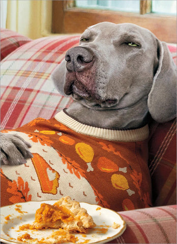 Thanksgiving Greeting Card - Thankful Dog