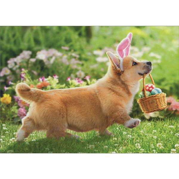 Easter Greeting Card - Corgi Carrying an Easter Basket