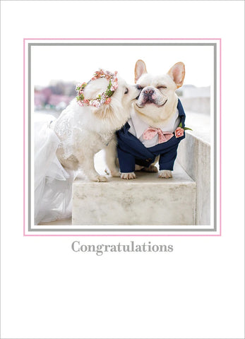 Wedding Greeting Card  - Wedding Dogs