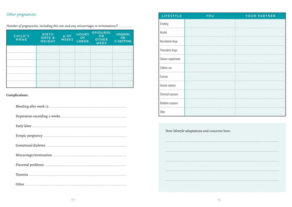 Planner - I'm Pregnant, Now What?