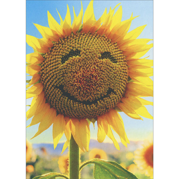 Blank Inside Greeting Card - Sunflower Face