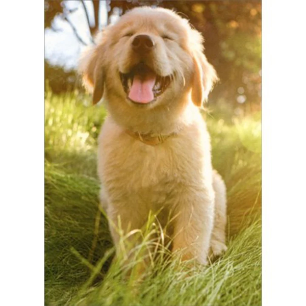 Blank Inside Greeting Card - Golden Retriever Puppy