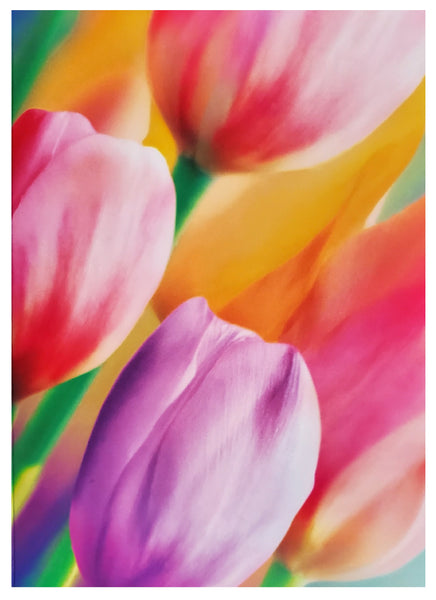 Blank Greeting Card - Rainbow Tulips