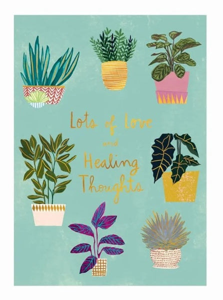 Luxury Get Well Greeting Card - Potted Plants