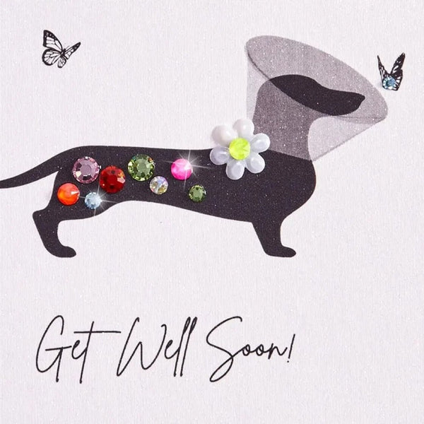 Luxury Get Well Greeting Card - Dog in Cone