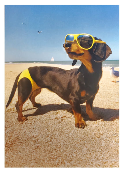 Birthday Greeting Card - Dachshund in Bathing Suit