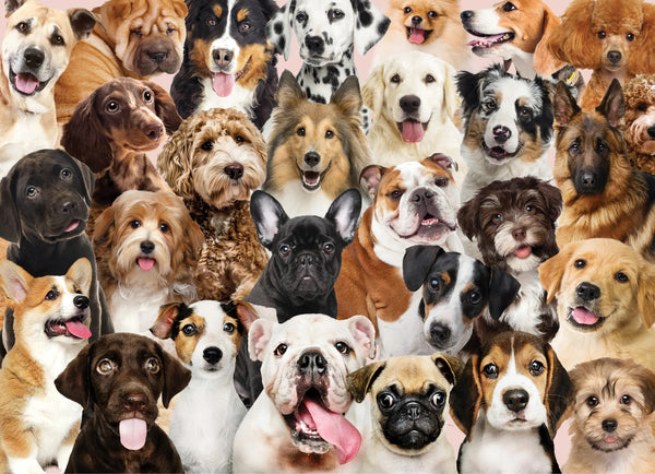 Jigsaw Puzzle - All the Dogs - 500 Piece