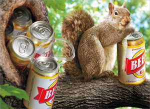 Birthday Greeting Card  - Squirrel with 6 Pack of Beer