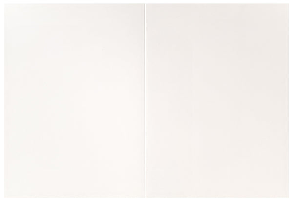 Blank Greeting Card - Rainbow Tulips