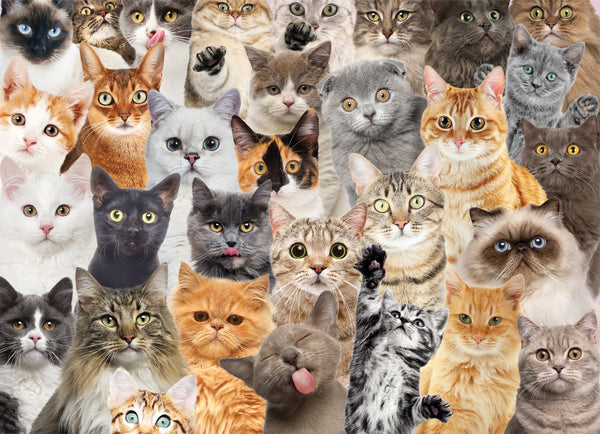 Jigsaw Puzzle - All the Cats - 500 Piece