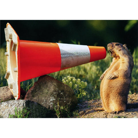 Graduation Greeting Card - Groundhog Yelling in Construction Cone