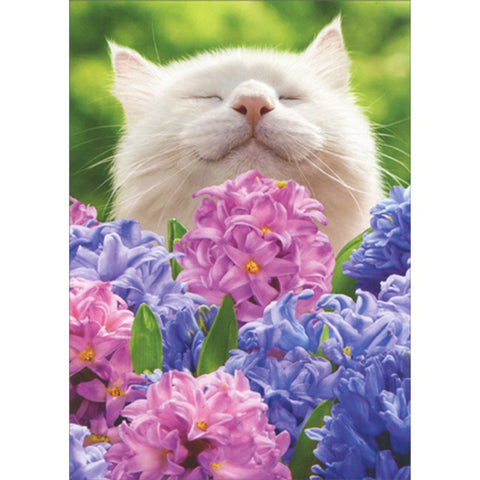 Blank Inside Greeting Card - Cat In Flowers