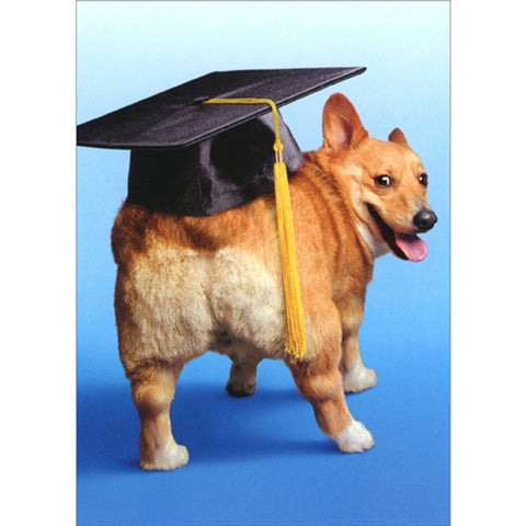 Graduation Greeting Card - Corgi Dog Grad