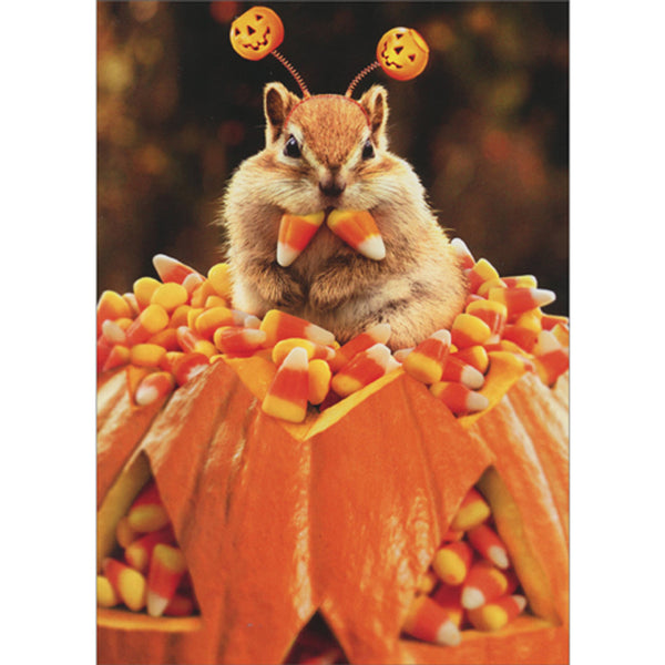Halloween Greeting Card - Chipmunk with Candy Corn Fangs