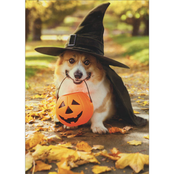 Halloween Greeting Card - Corgi Wearing Witch Costume