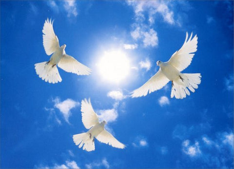 Sympathy Greeting Card - Three White Doves Circling