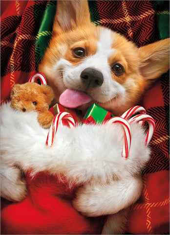 Christmas Greeting Card - Corgi with Christmas Stocking