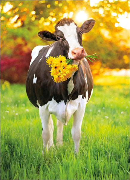 Get Well Greeting Card - Cow With Flowers